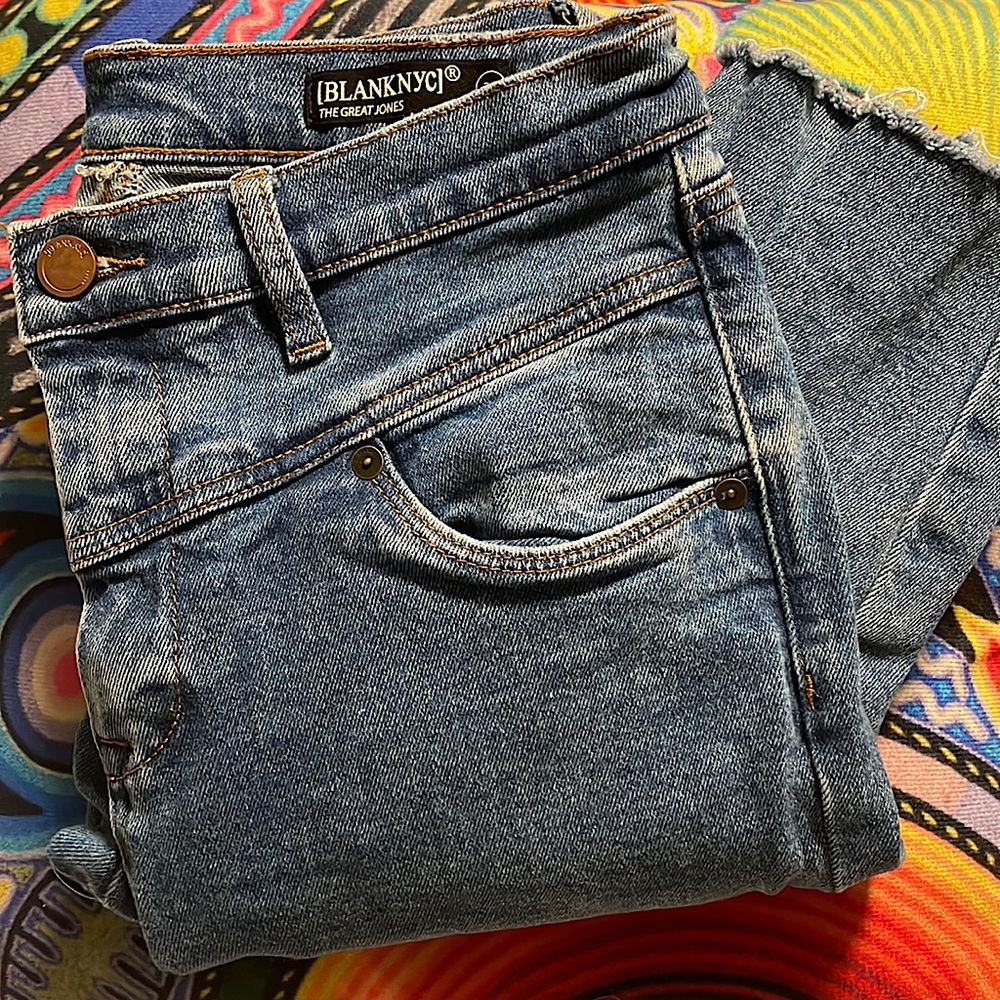 Gently Worn! In great condition *BLANKNYC THE GREAT JONES* Skinny Blue Jeans